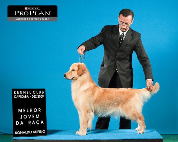 Clique sobre a foto para fechar